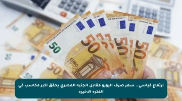 ارتفاع قياسي.. سعر صرف اليورو مقابل الجنيه المصري يحقق أكبر مكاسب في الفترة الأخيرة